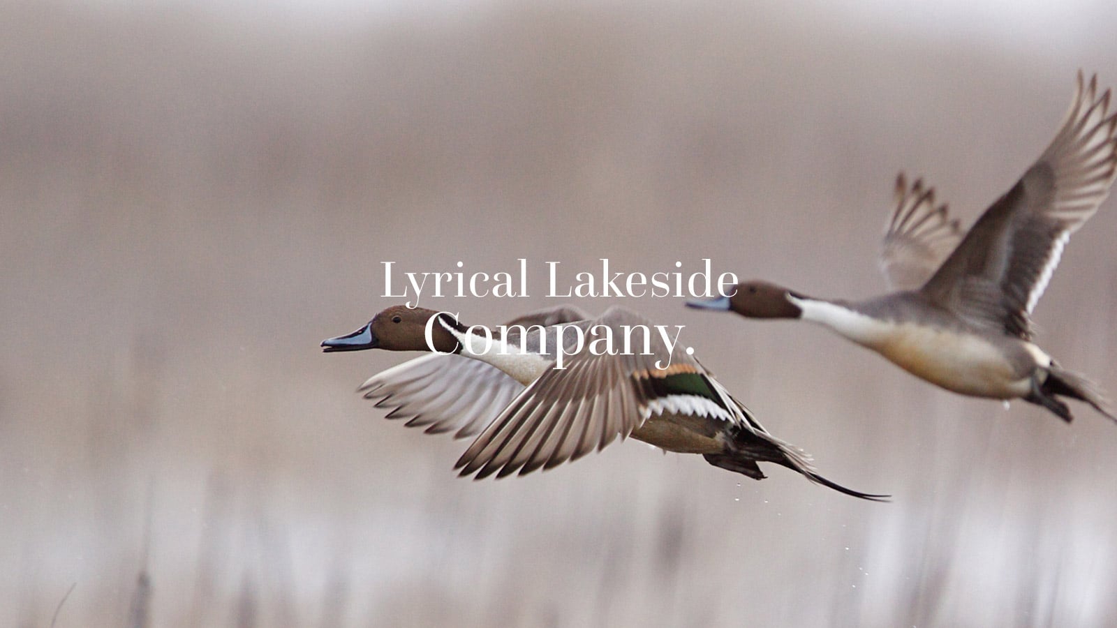 luxury villas in pune